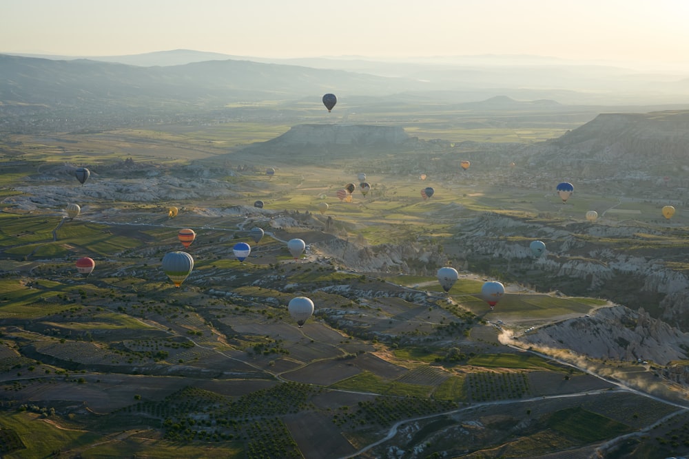 hot air balloons flying over green grass field during daytime