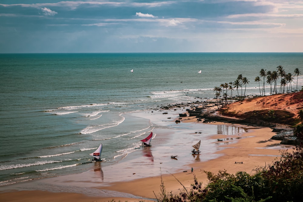 people on beach during daytime