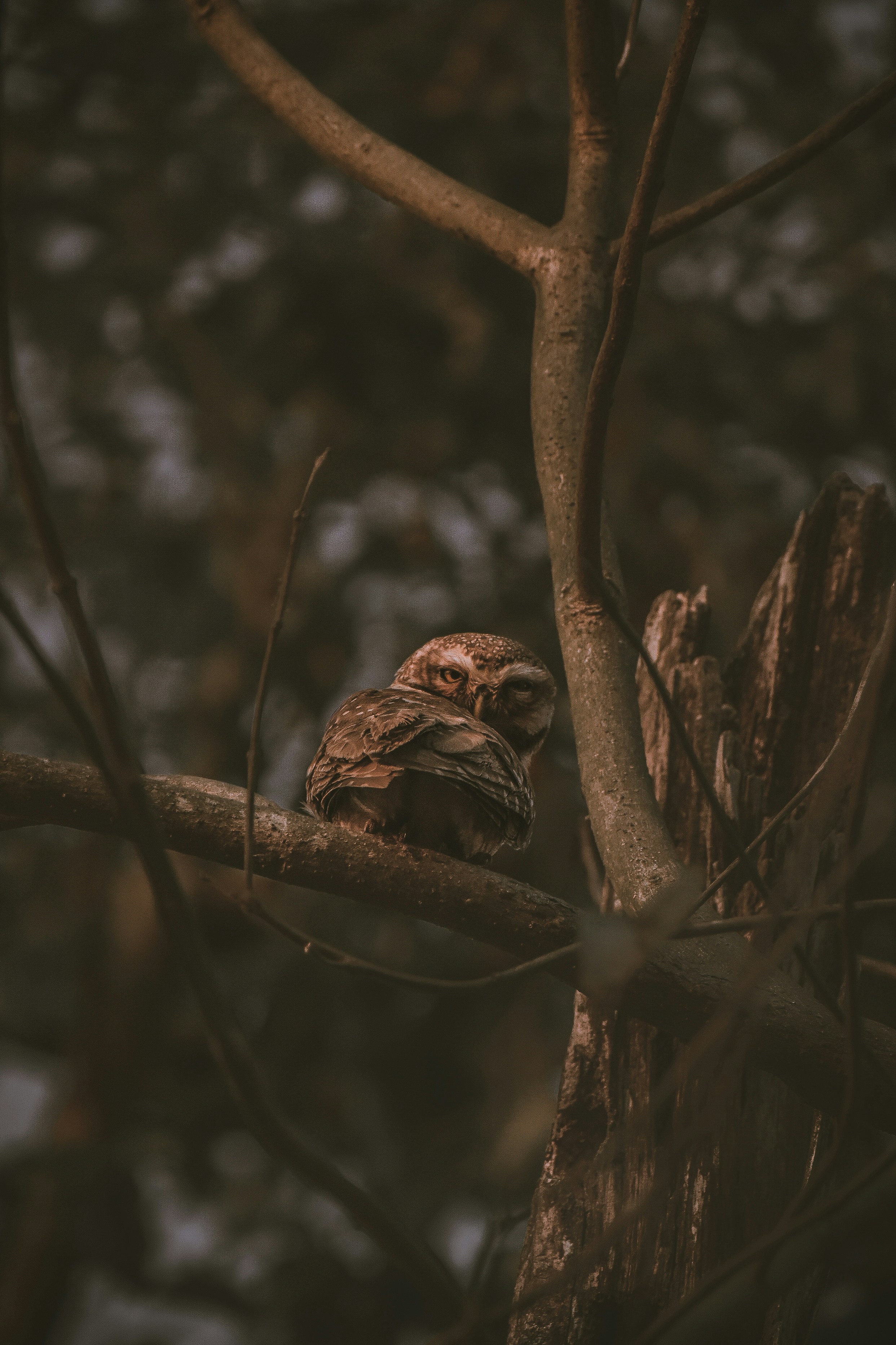 Photo by mr_strange_