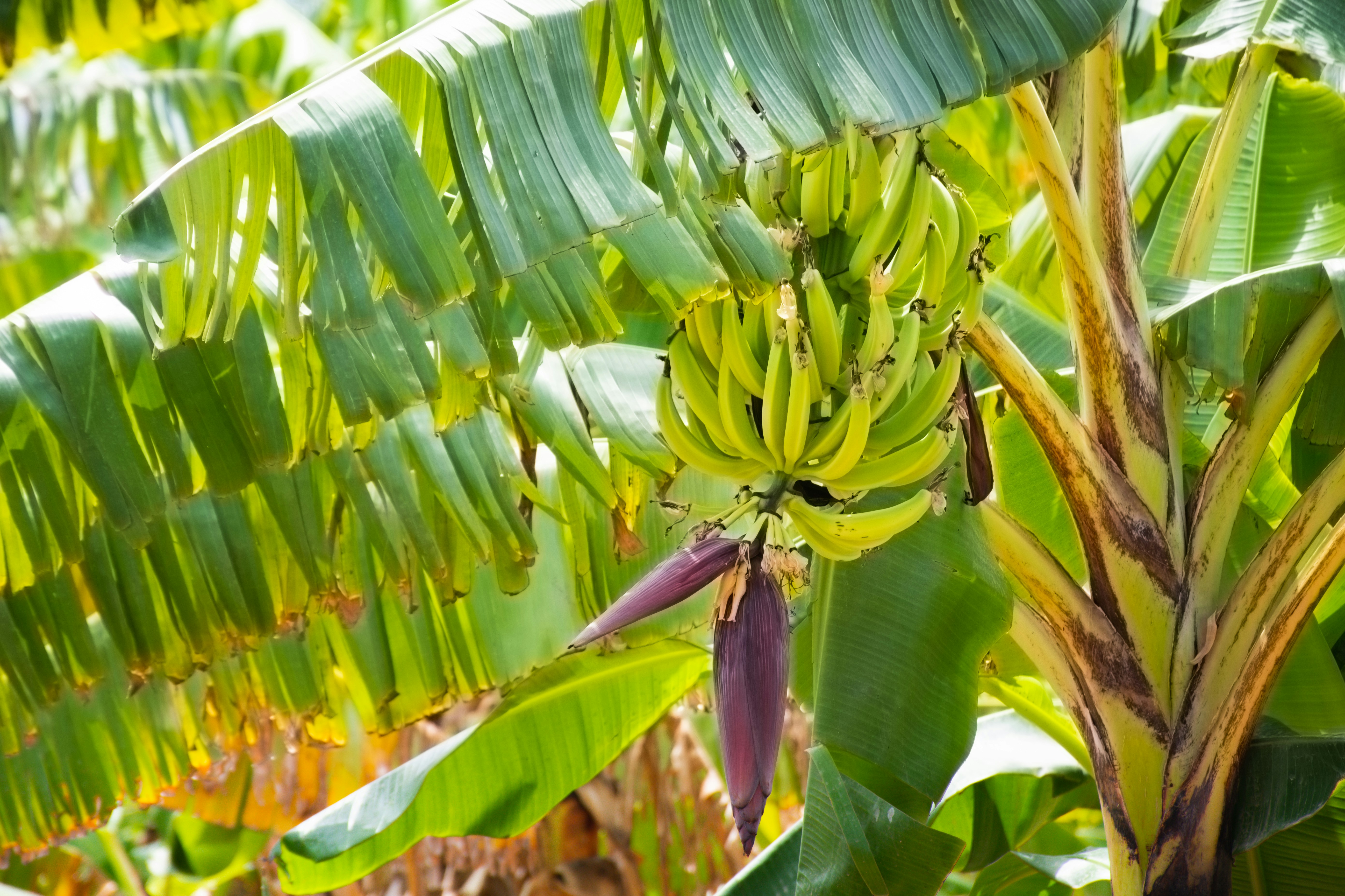 Photo by blackboiphotographygh