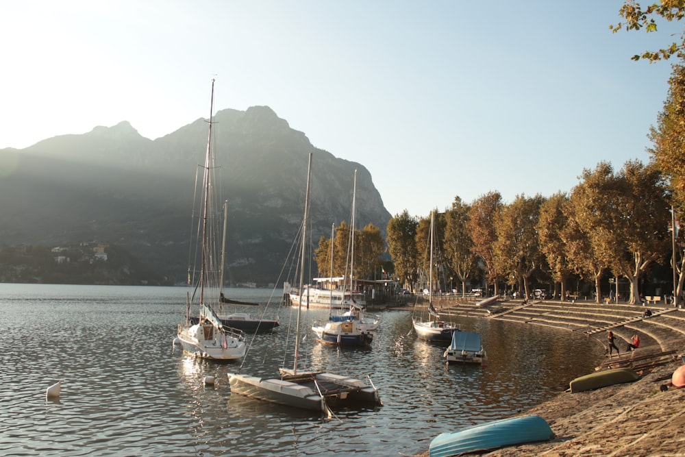 white and blue boats on body of water during daytime