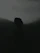 A moody, atmospheric illustration of a young man standing at the edge of a shadowy forest, hinting at a hidden vampire society.