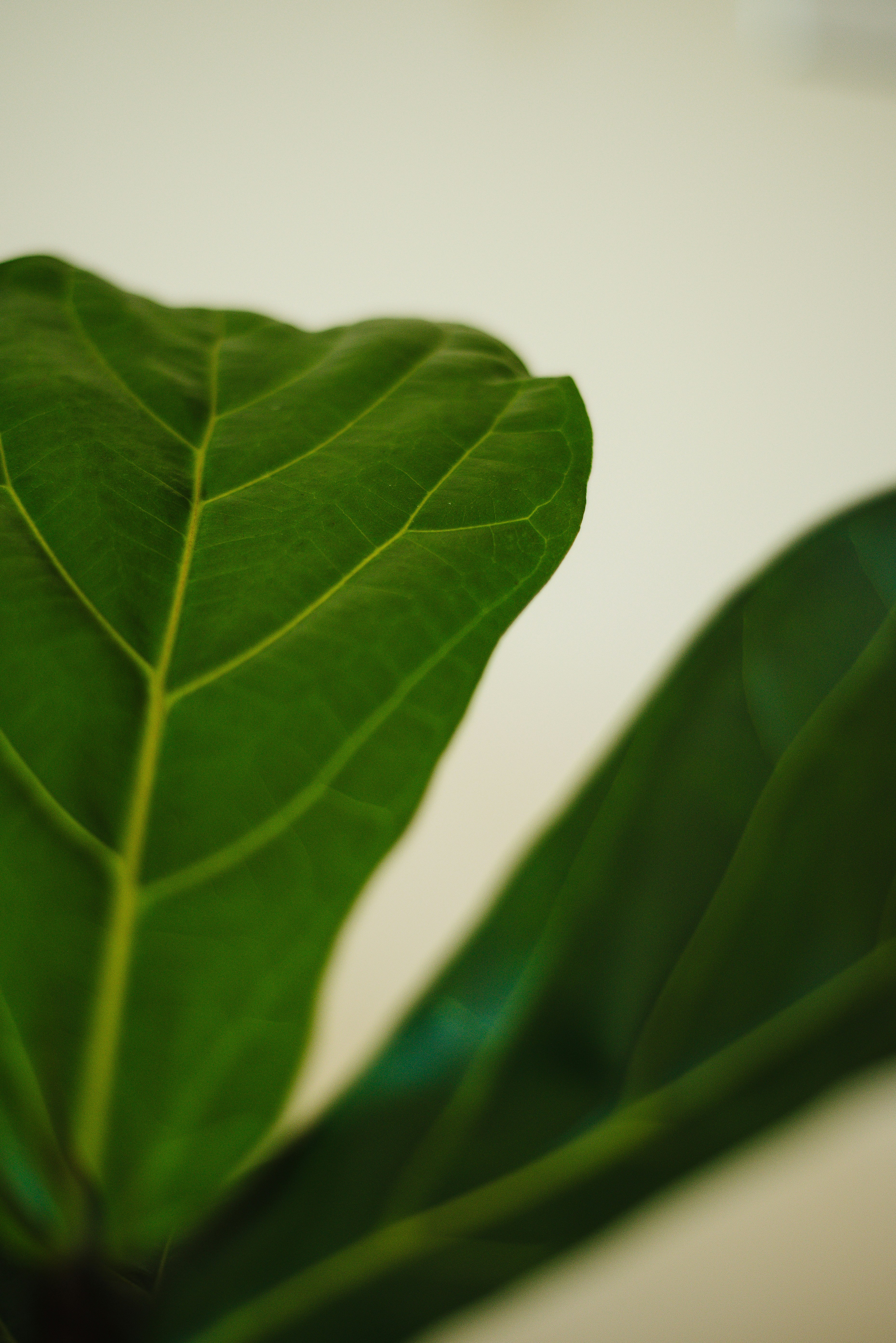 Photo by joyshotsphotography