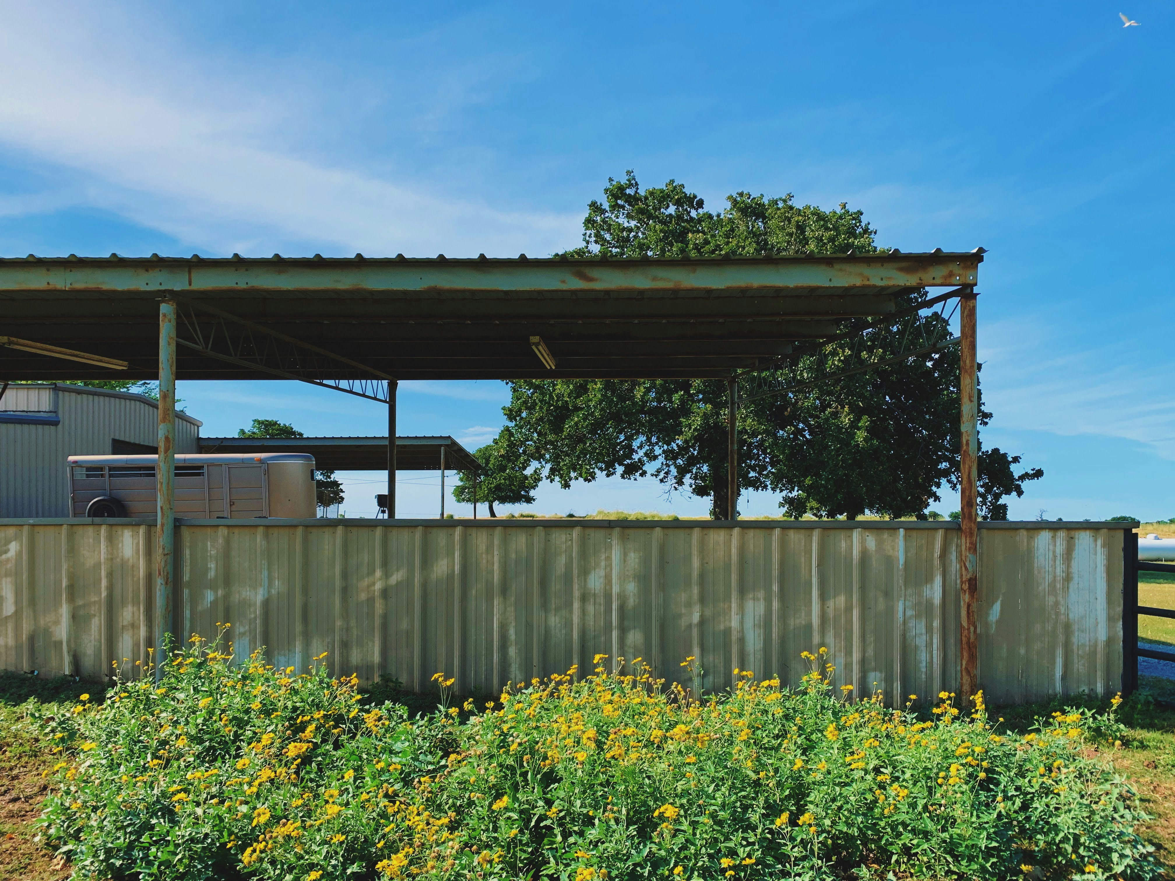 Photo by bondomovies