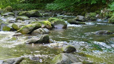 A clear mountain creek lined with mossy rocks inviting peaceful reflection.