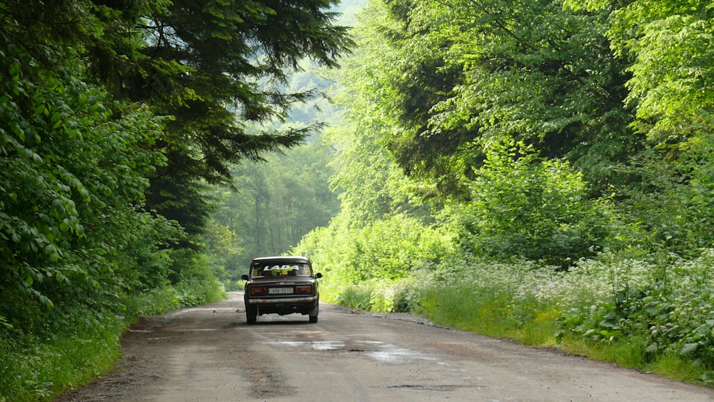 black suv on road between green trees during daytime