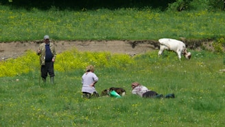 A group of farmers collaborating in a lush green field.