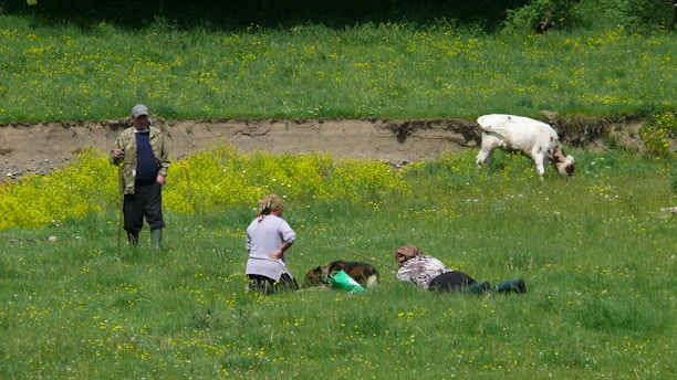 A group of farmers collaborating in a lush green field.