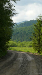 Close-up of a dirt road winding through dense Amazon jungle.