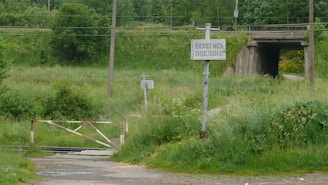 The image depicts a rural railway crossing with tall green grass and bushes surrounding the area. There is a gate blocking the railway track and a signpost with a warning or informational message written on it. A concrete overpass is visible in the background and there are electrical poles with wires running across the scene.