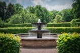 a water fountain surrounded by hedges and trees
