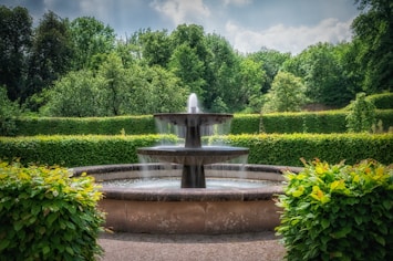 a water fountain surrounded by hedges and trees