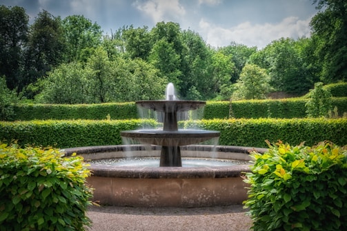 a water fountain surrounded by hedges and trees