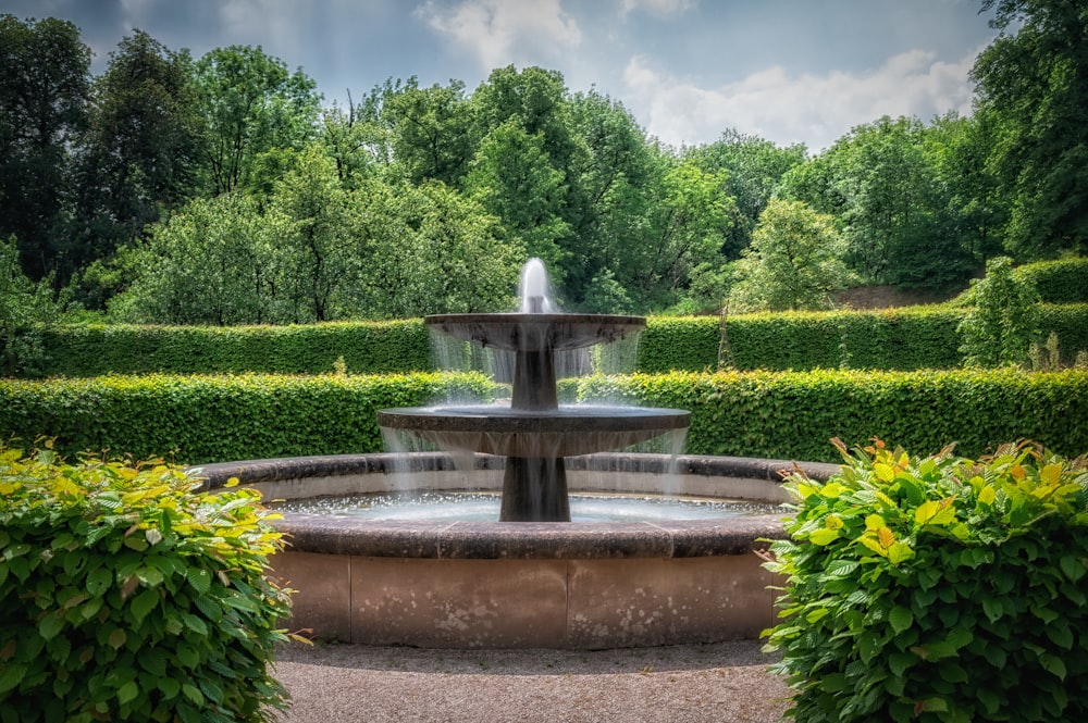 a water fountain surrounded by hedges and trees