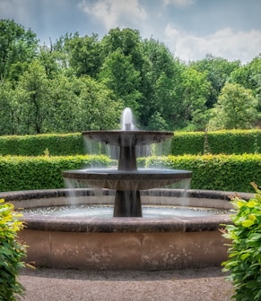 a water fountain surrounded by hedges and trees