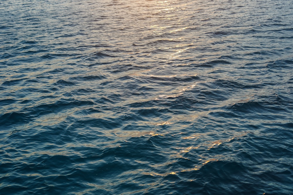 body of water during daytime