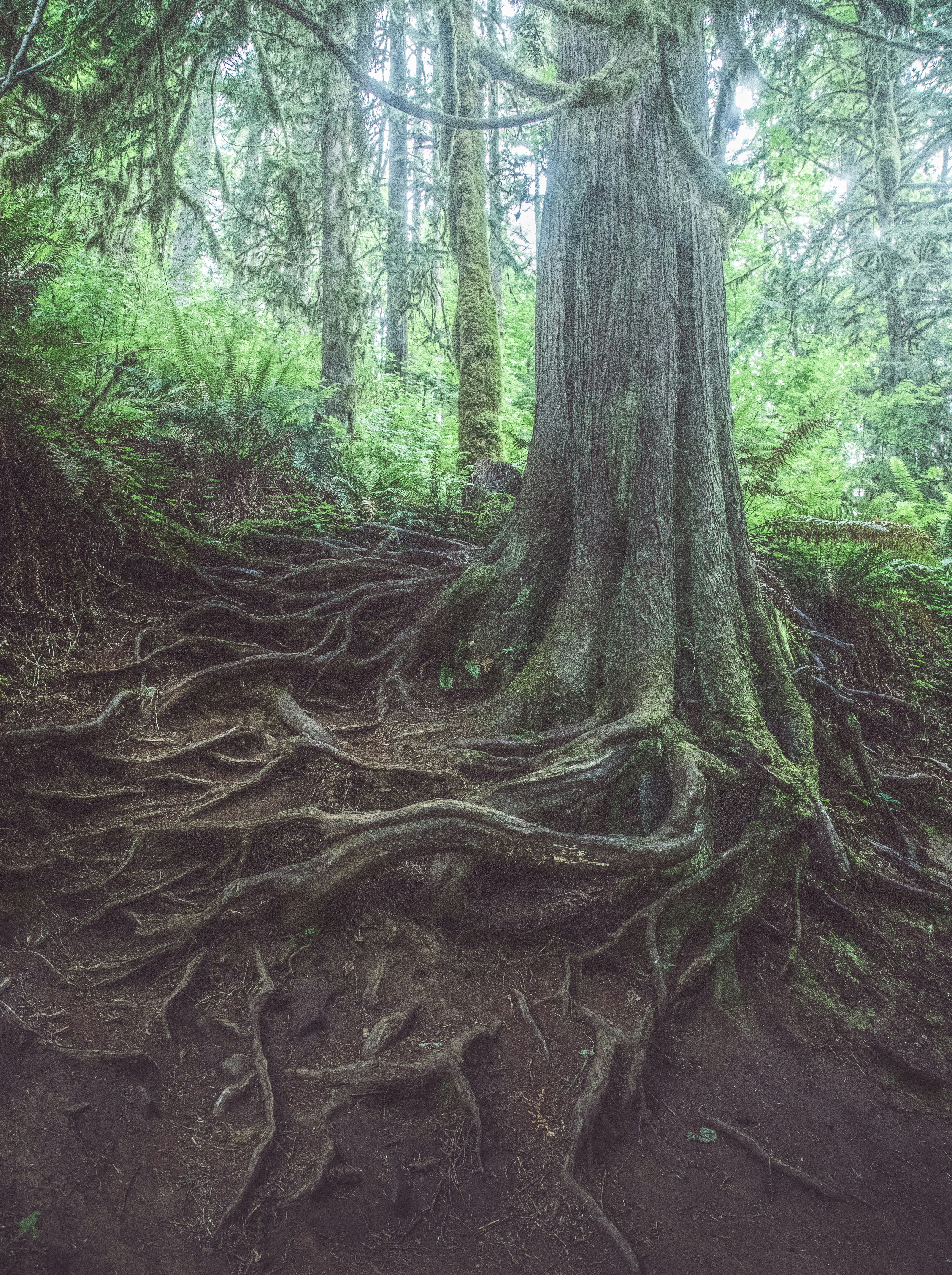 Photo by capturelight