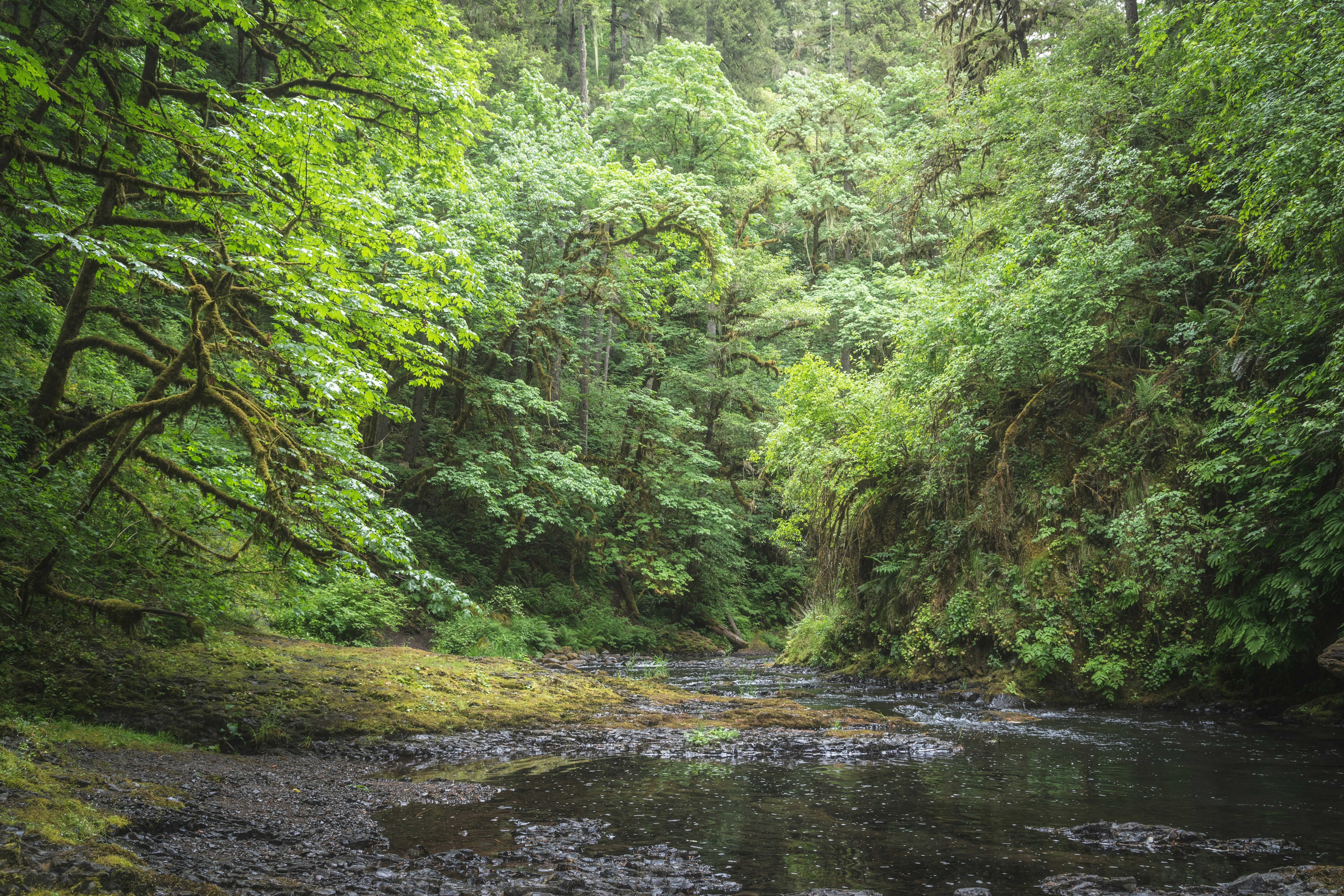 Photo by capturelight