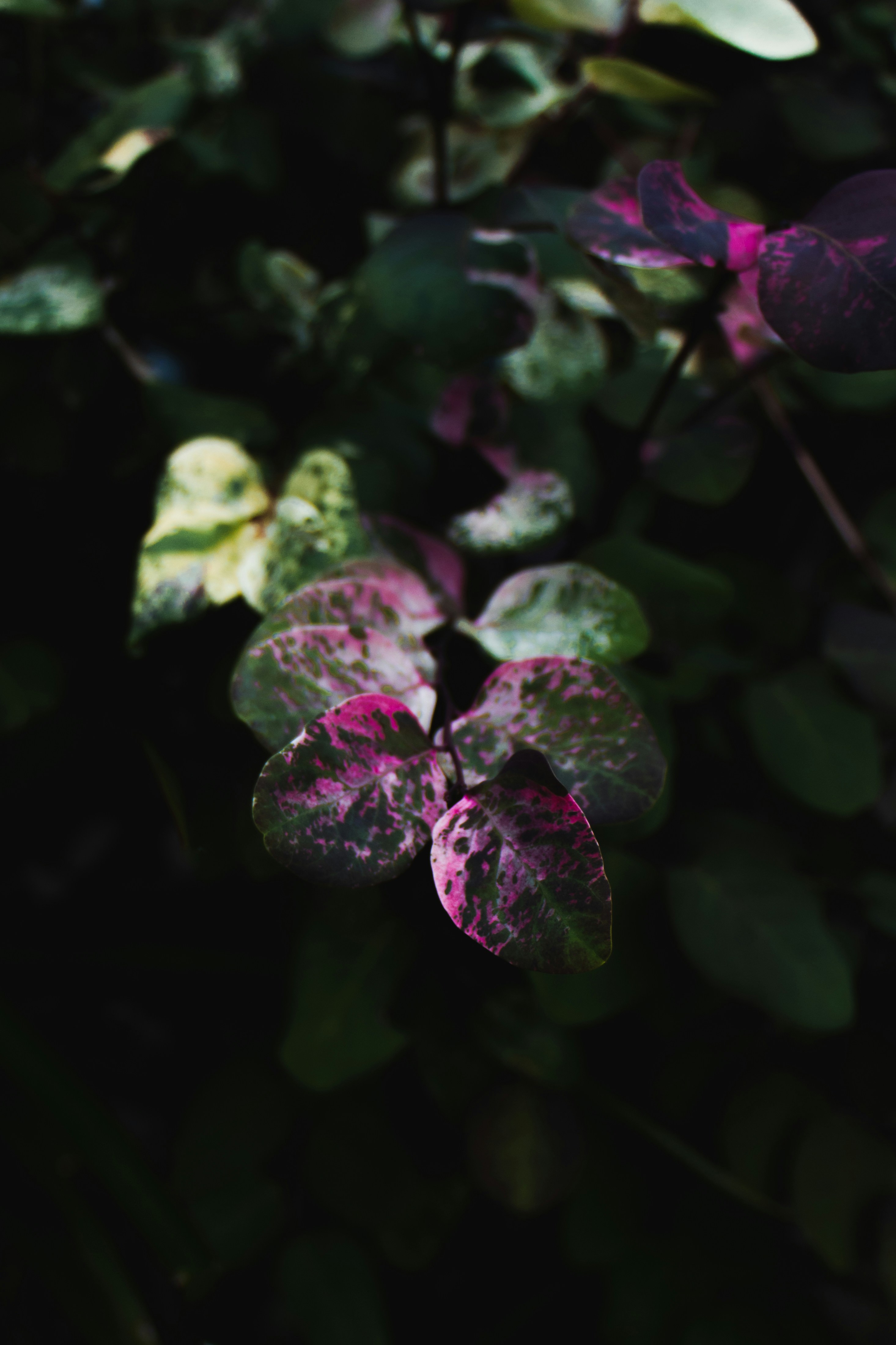 Photo by helenngoc