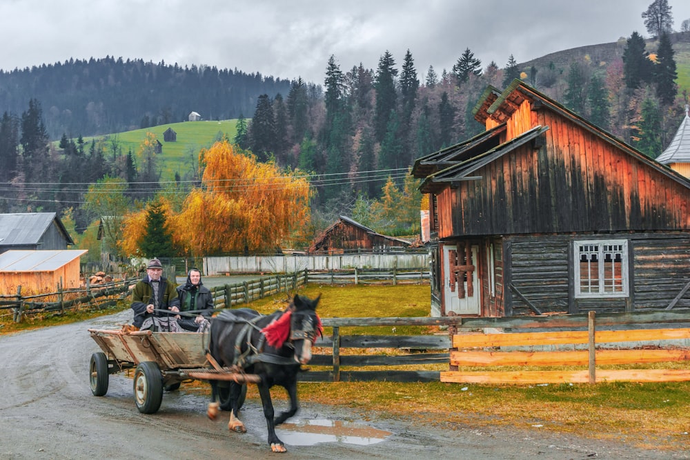 Uomo che cavalca su una carrozza trainata da cavalli vicino a una casa di legno marrone durante il giorno