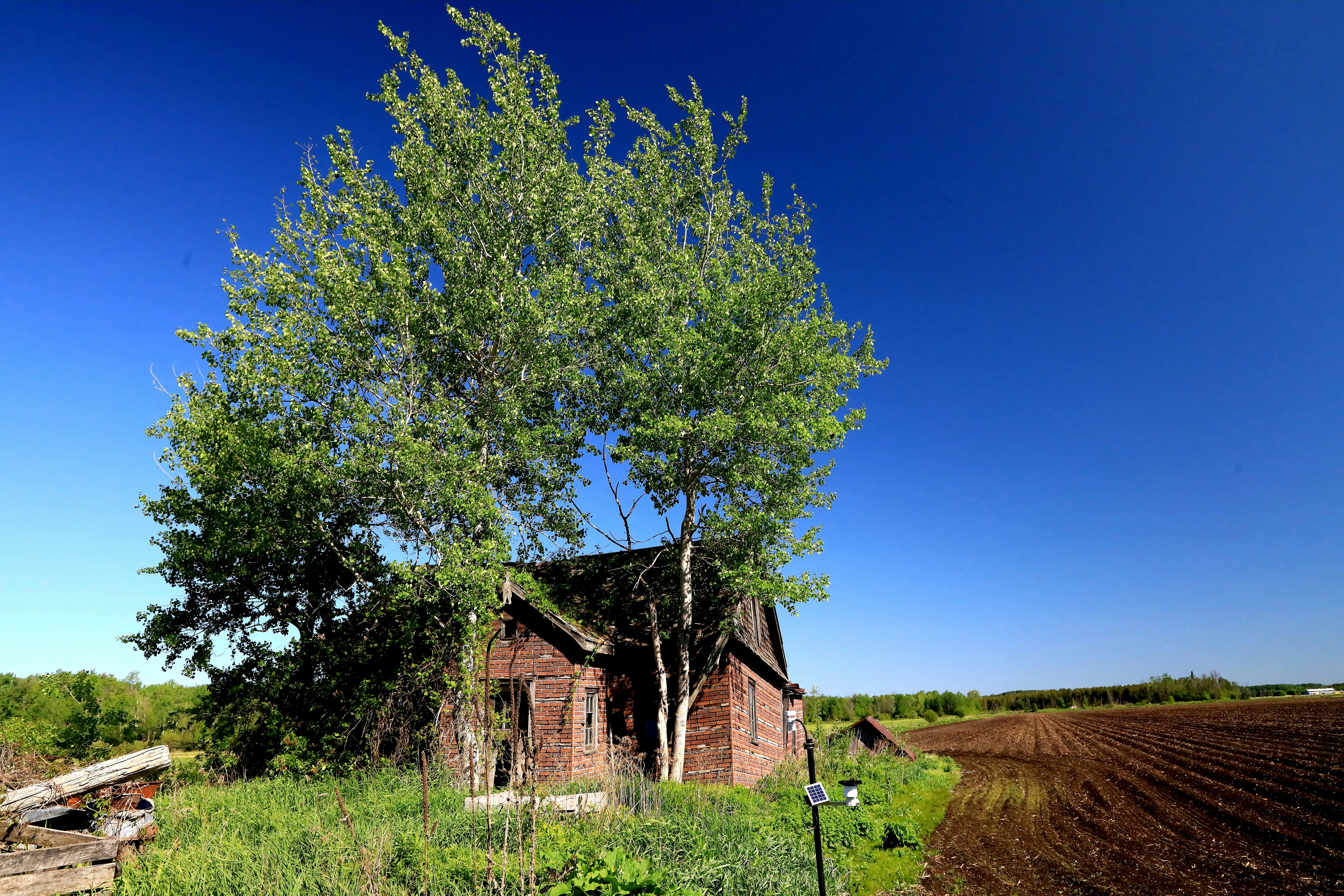 Photo by richardworks