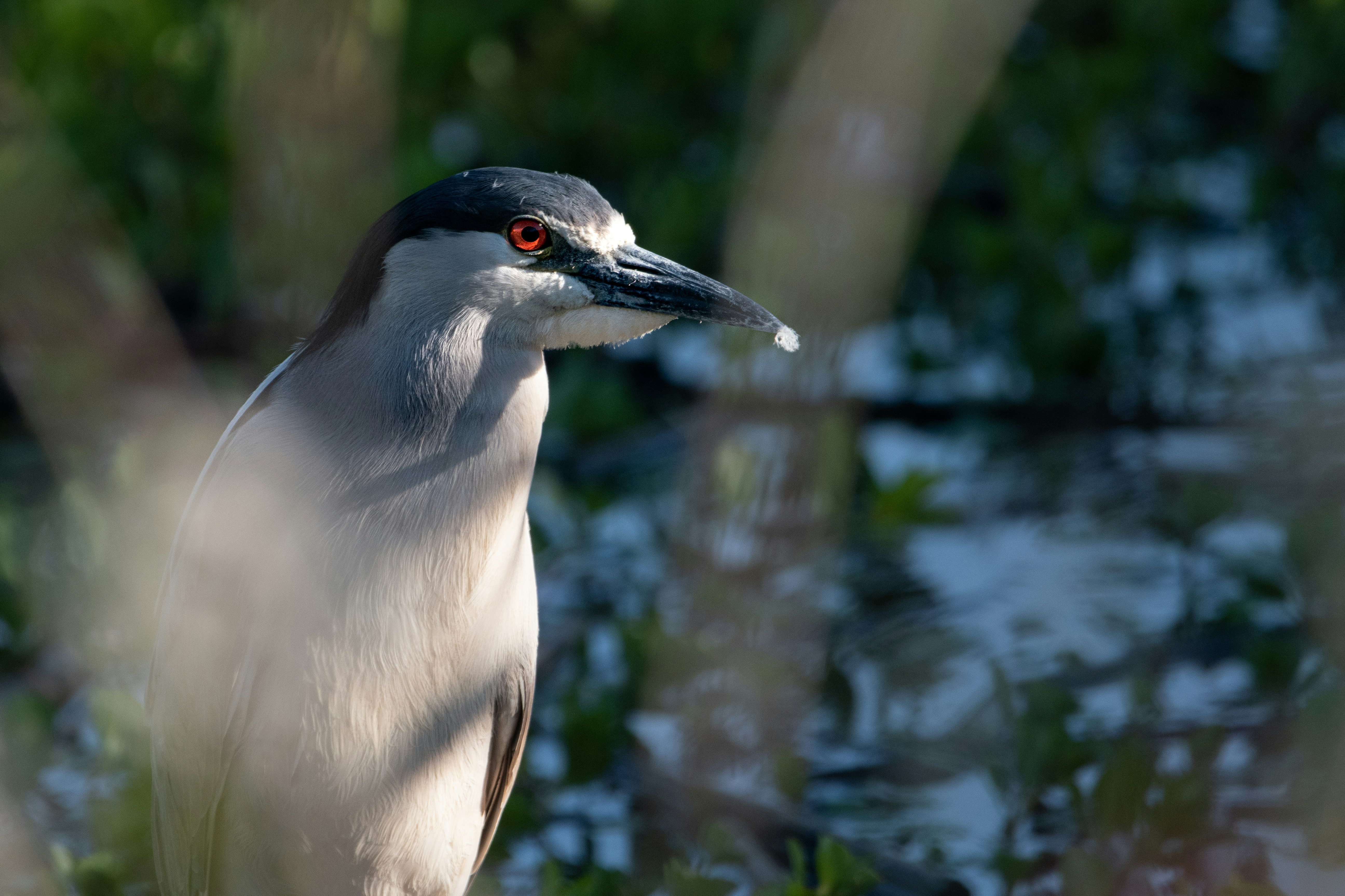 Photo by elisastonephotography