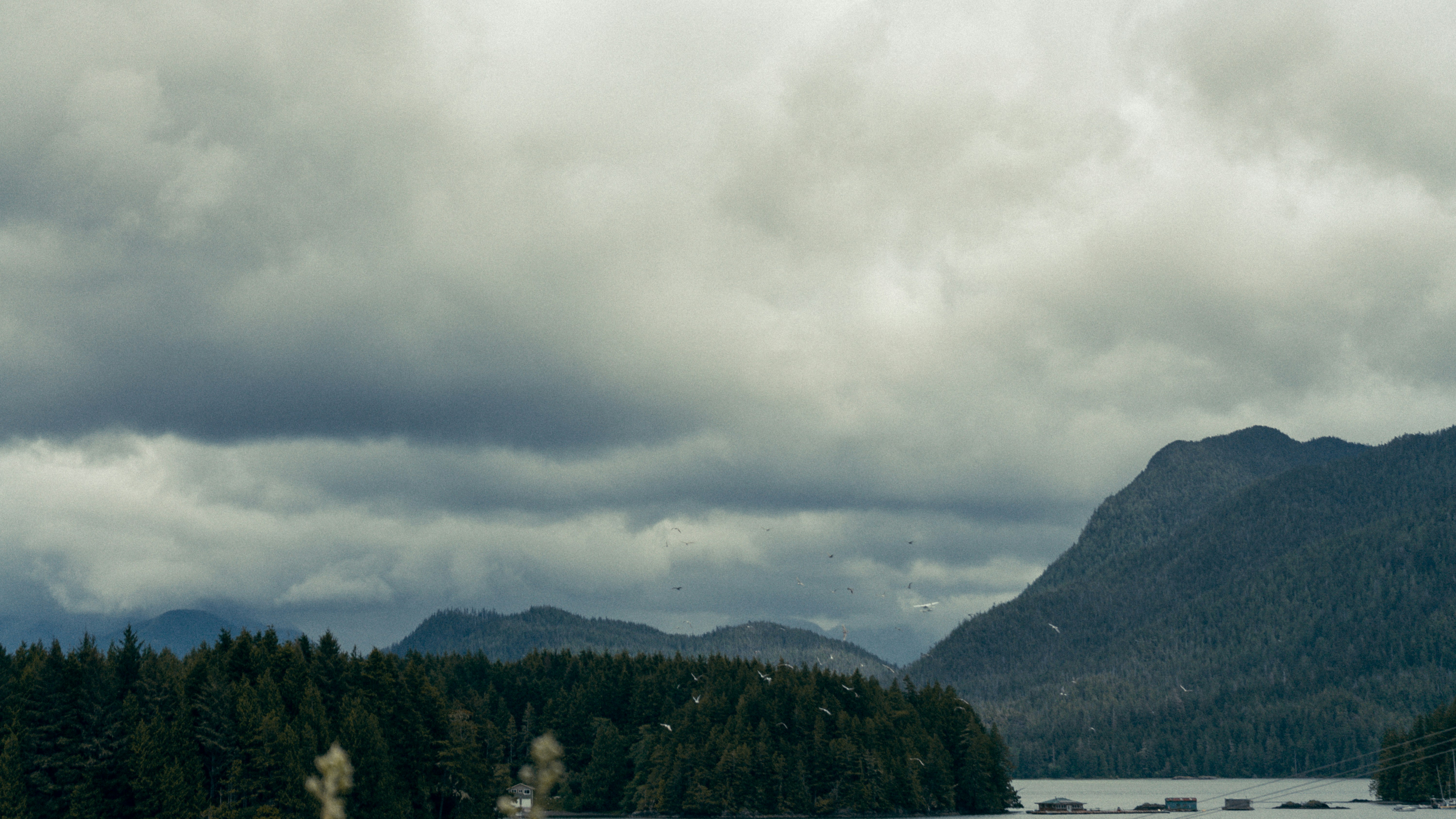 Photo by colefreeman