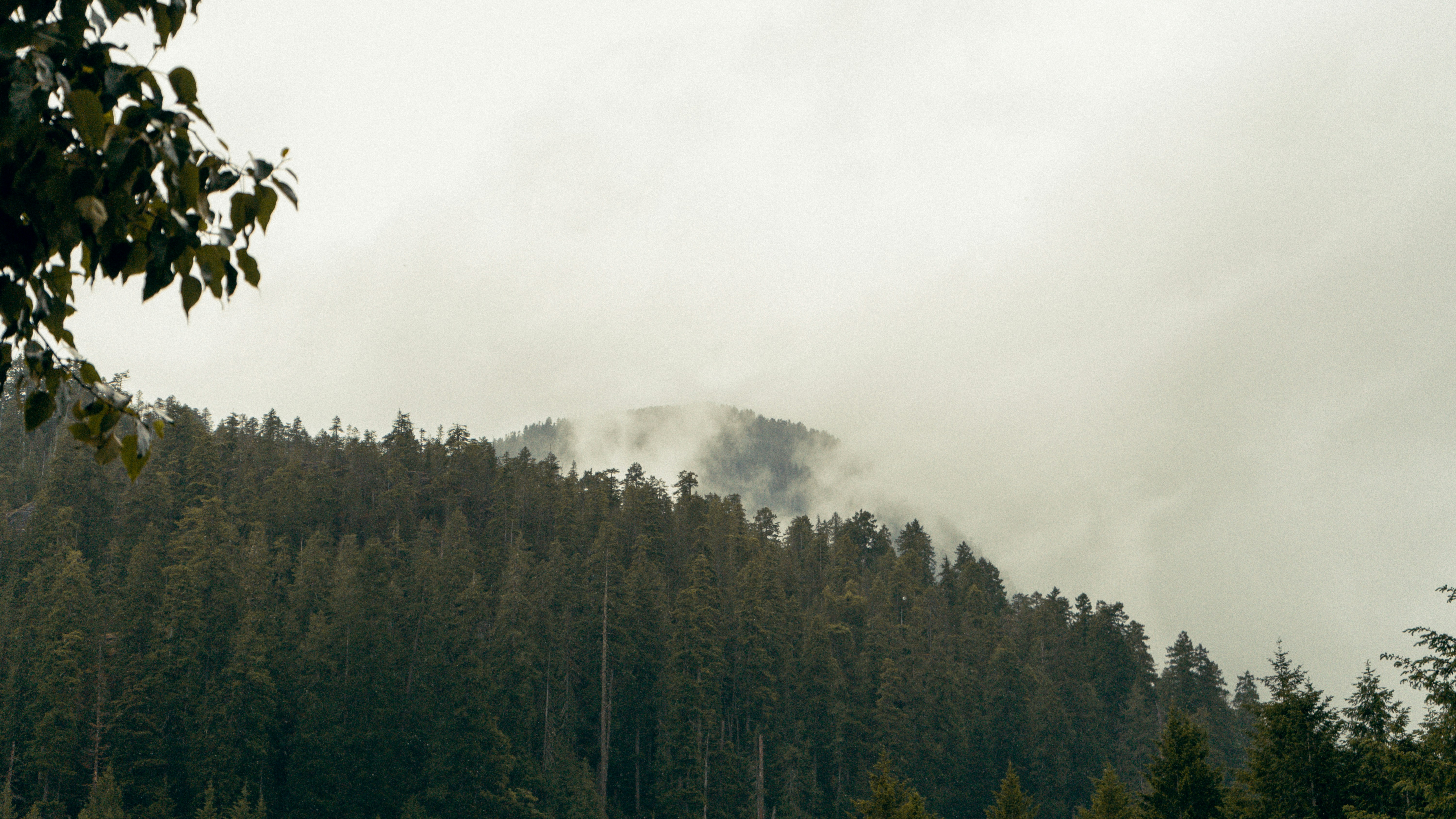 Photo by colefreeman