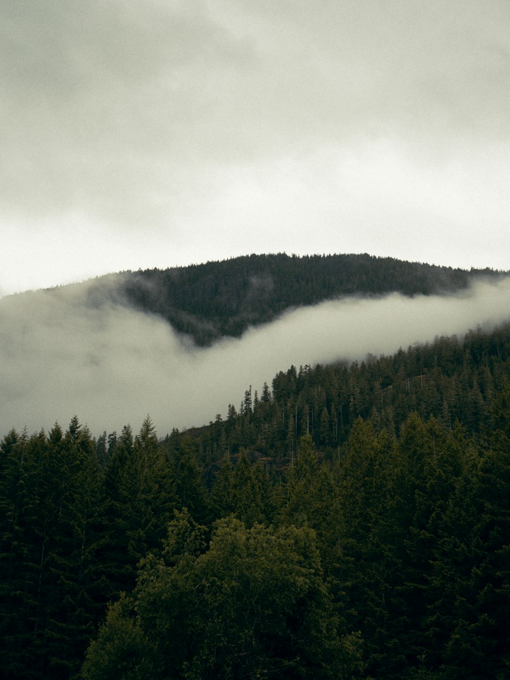 a mountain covered in fog and low lying clouds