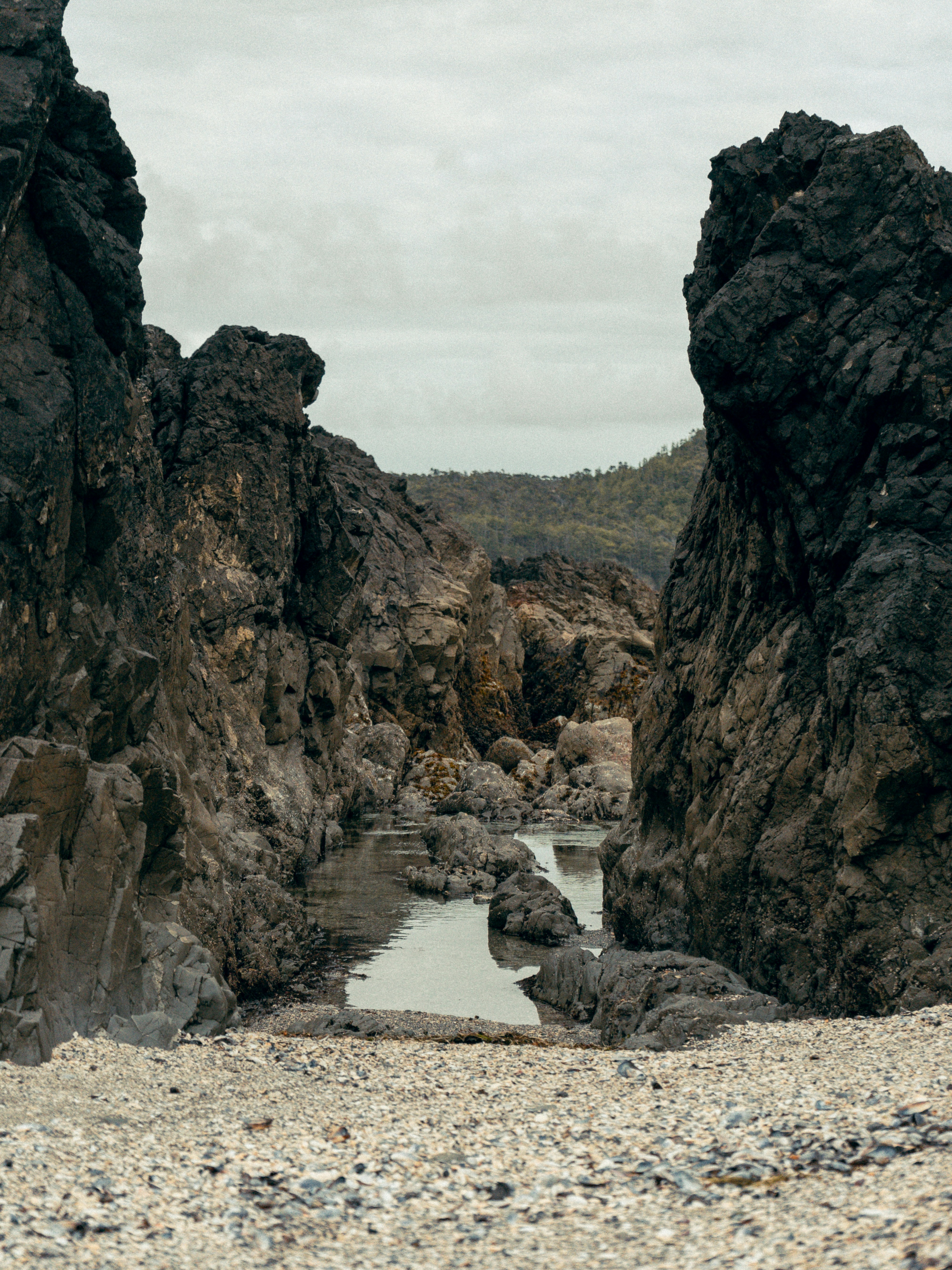 Photo by colefreeman