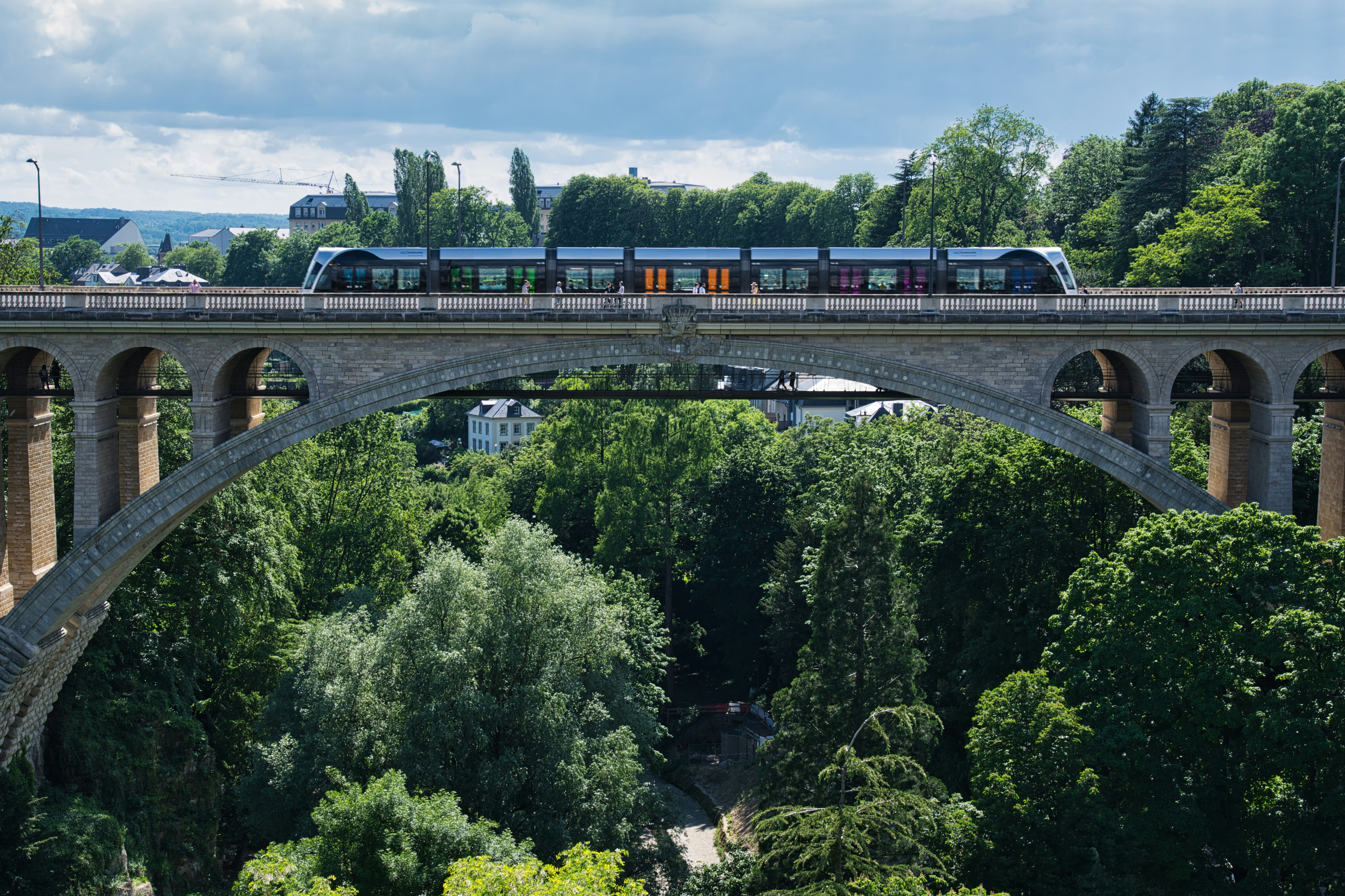 green trees near gra
