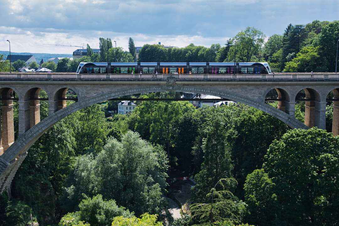 green trees near gray concrete bridge during daytime