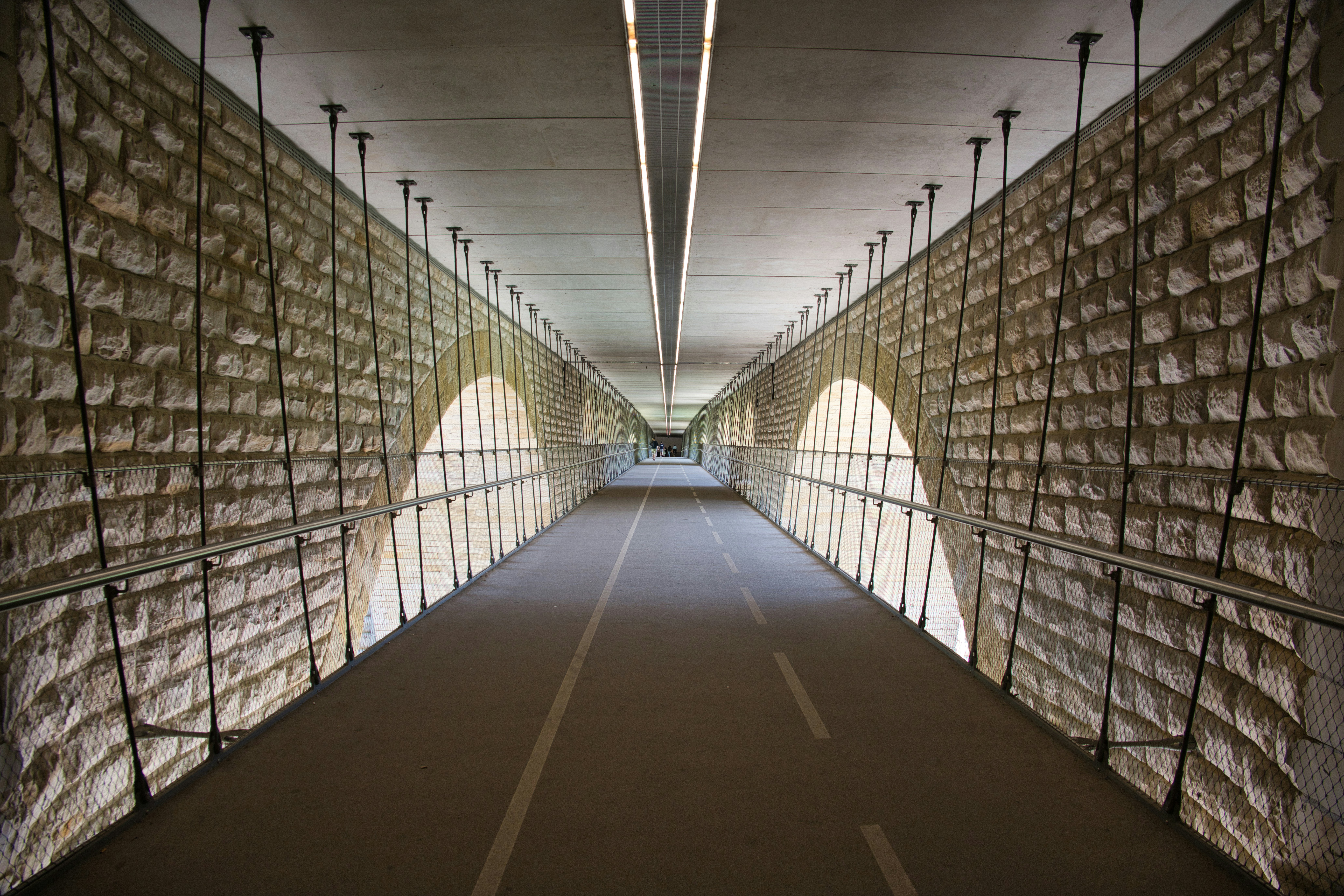 Photo by gabor_koszegi