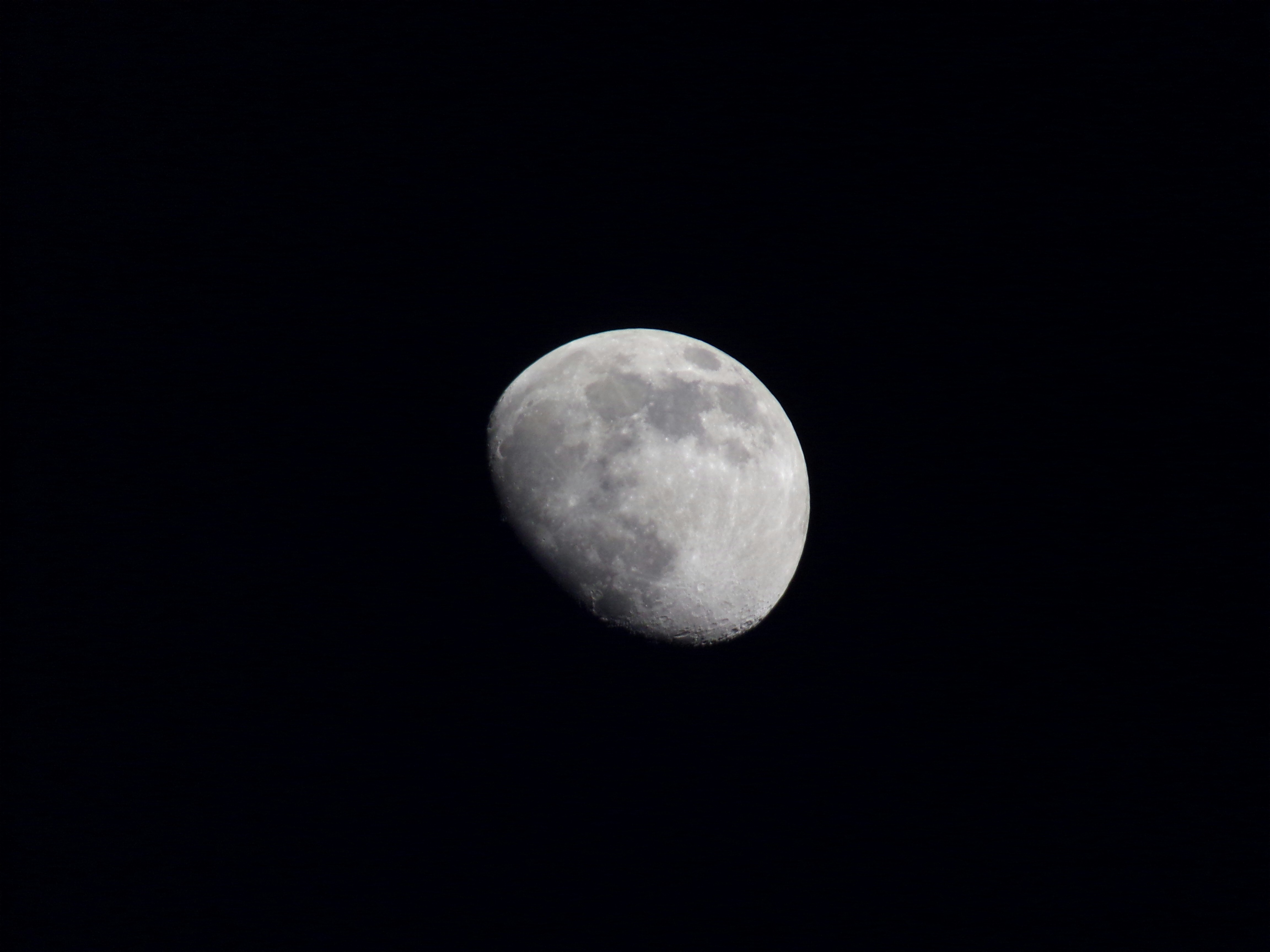 gibbous moon