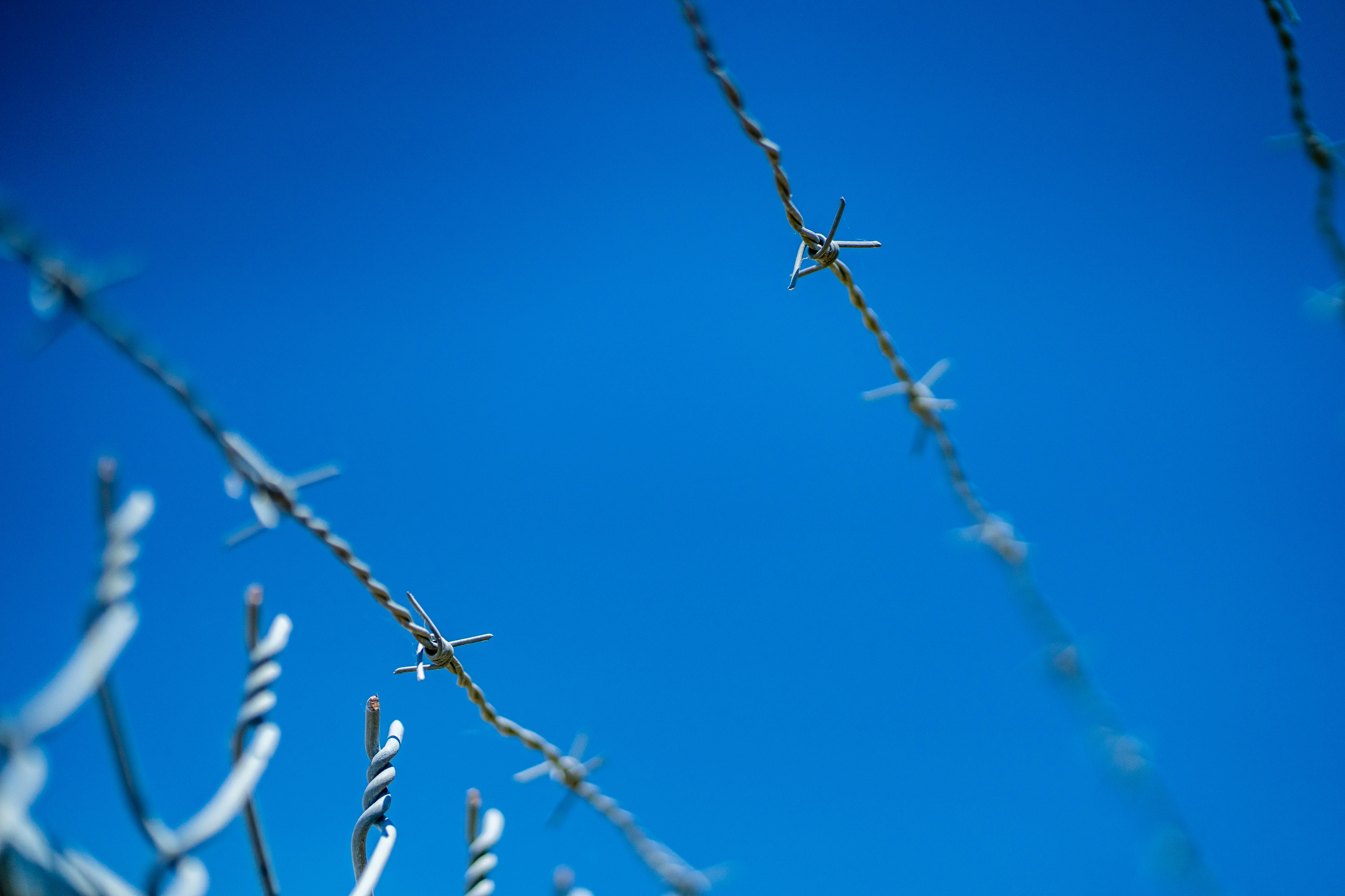 brown barbwire under blue sky during daytime