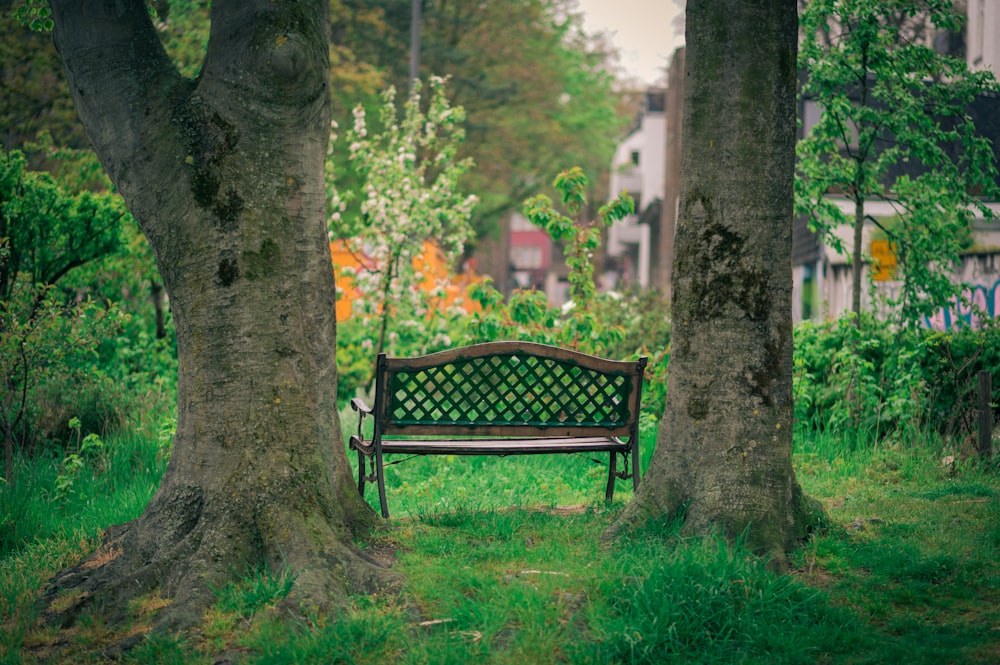 black metal bench under tree