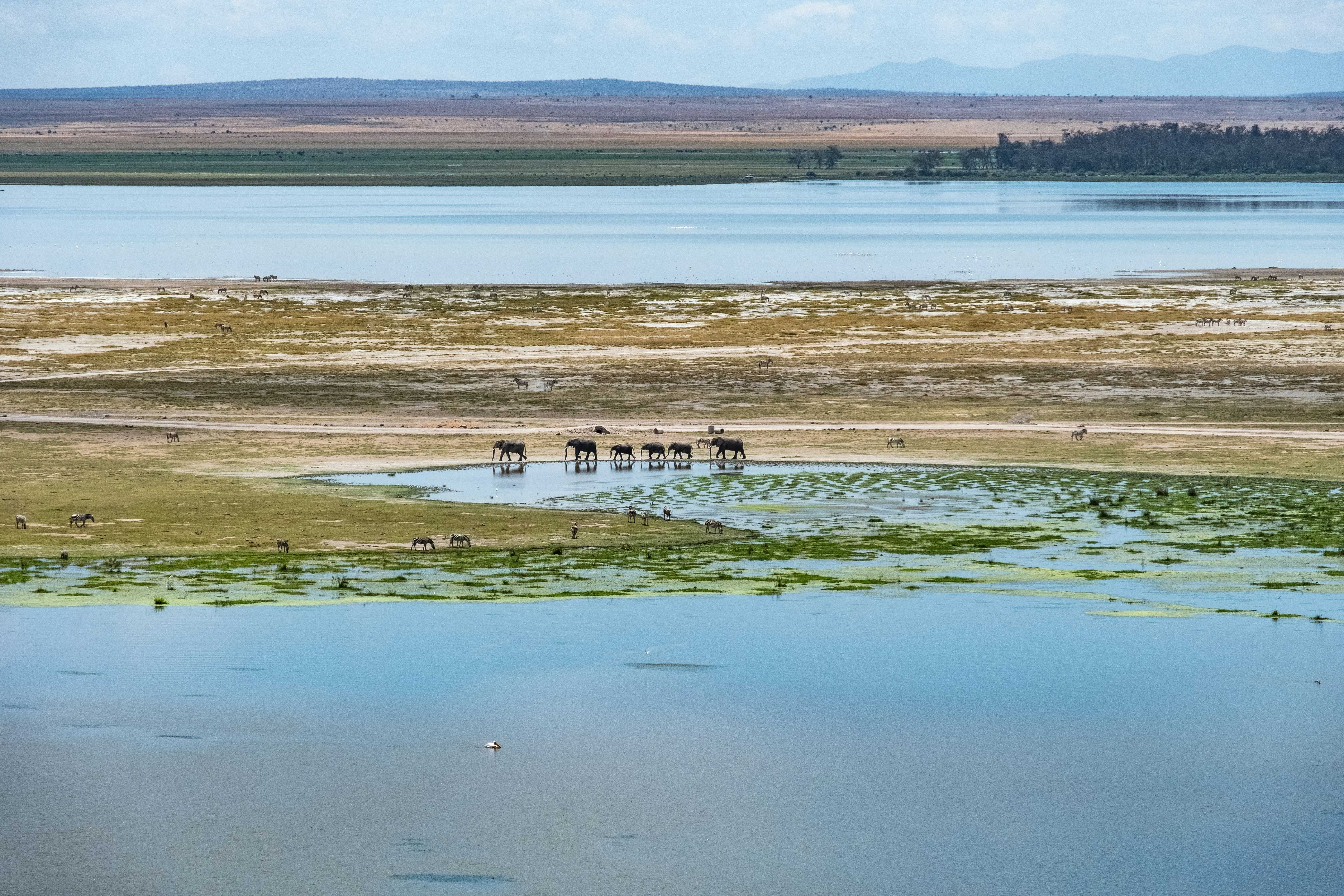 Safaris in Kenya with Rwanda Gorilla Trekking