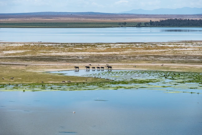 18-Day Kenya Budget Backpacking Itinerary | Save Money