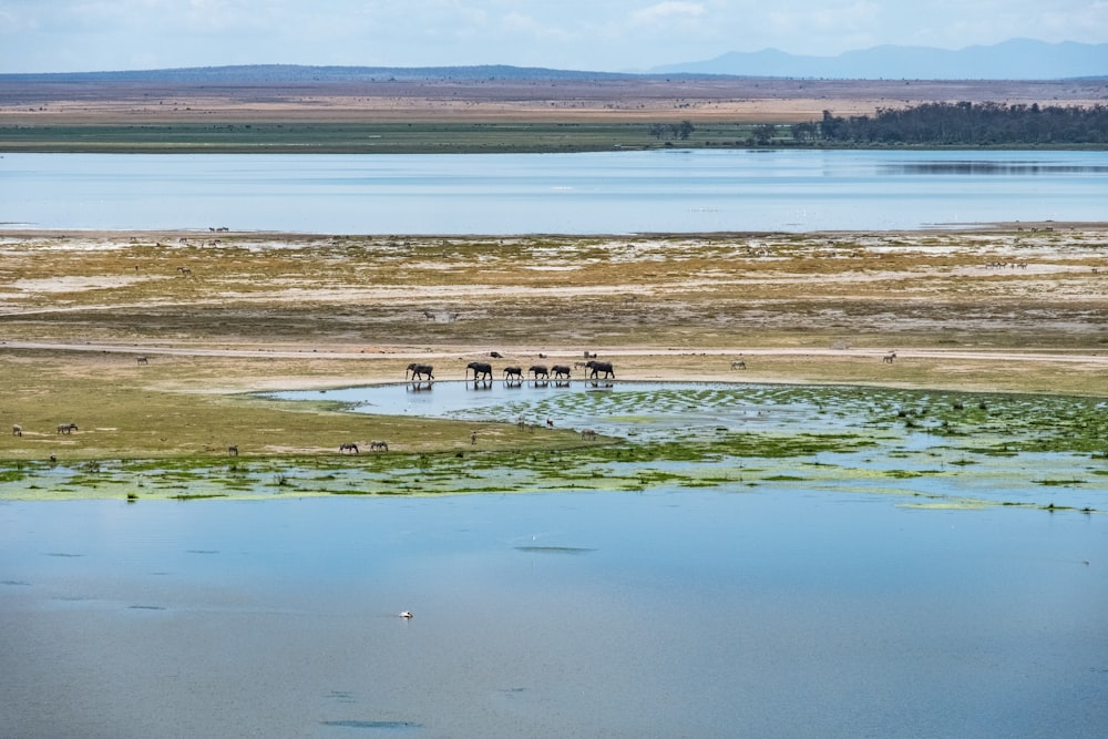 people walking on brown field during daytime