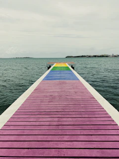 brown wooden dock on body of water during daytime