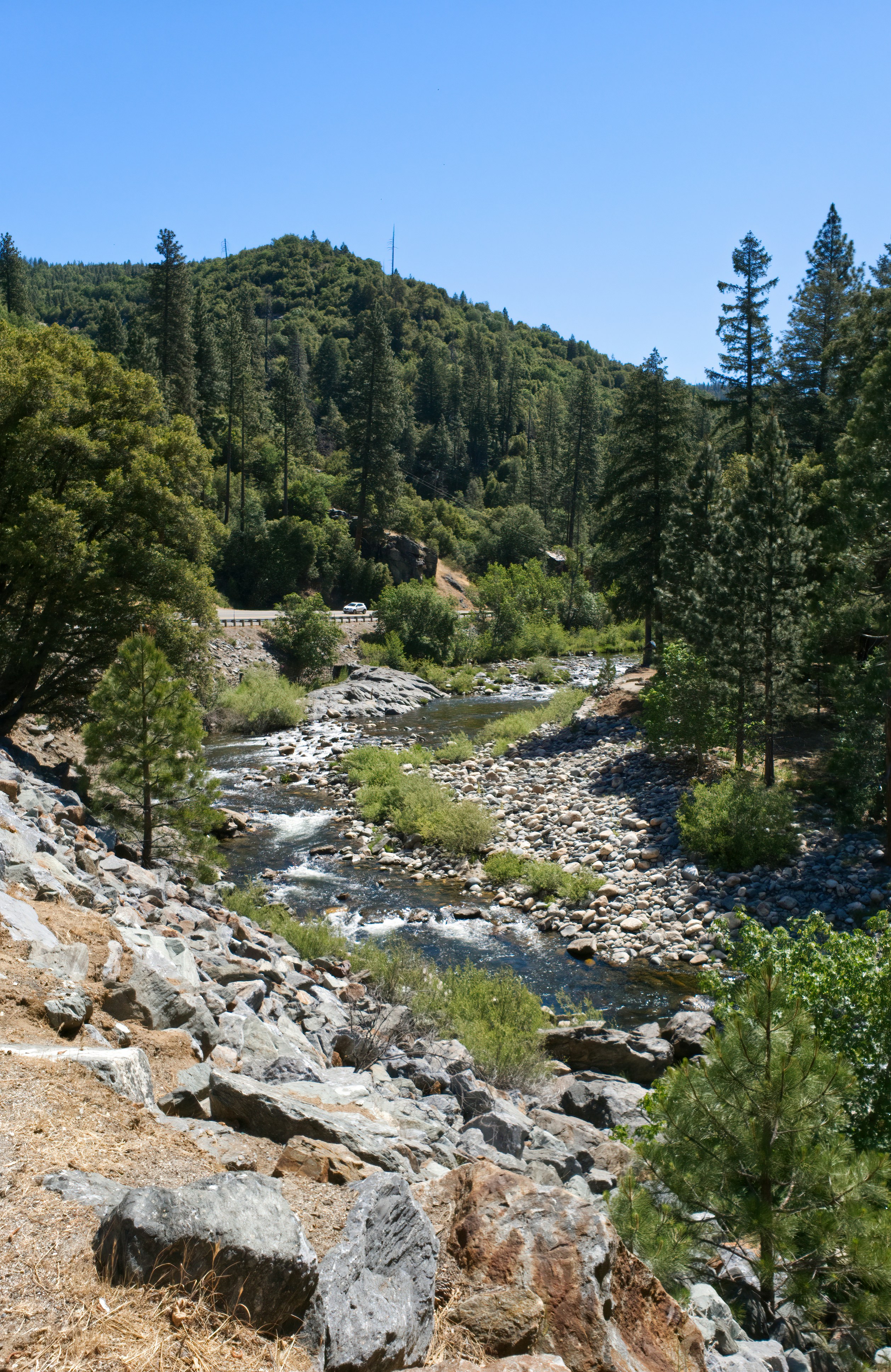 Photo by bullterriere