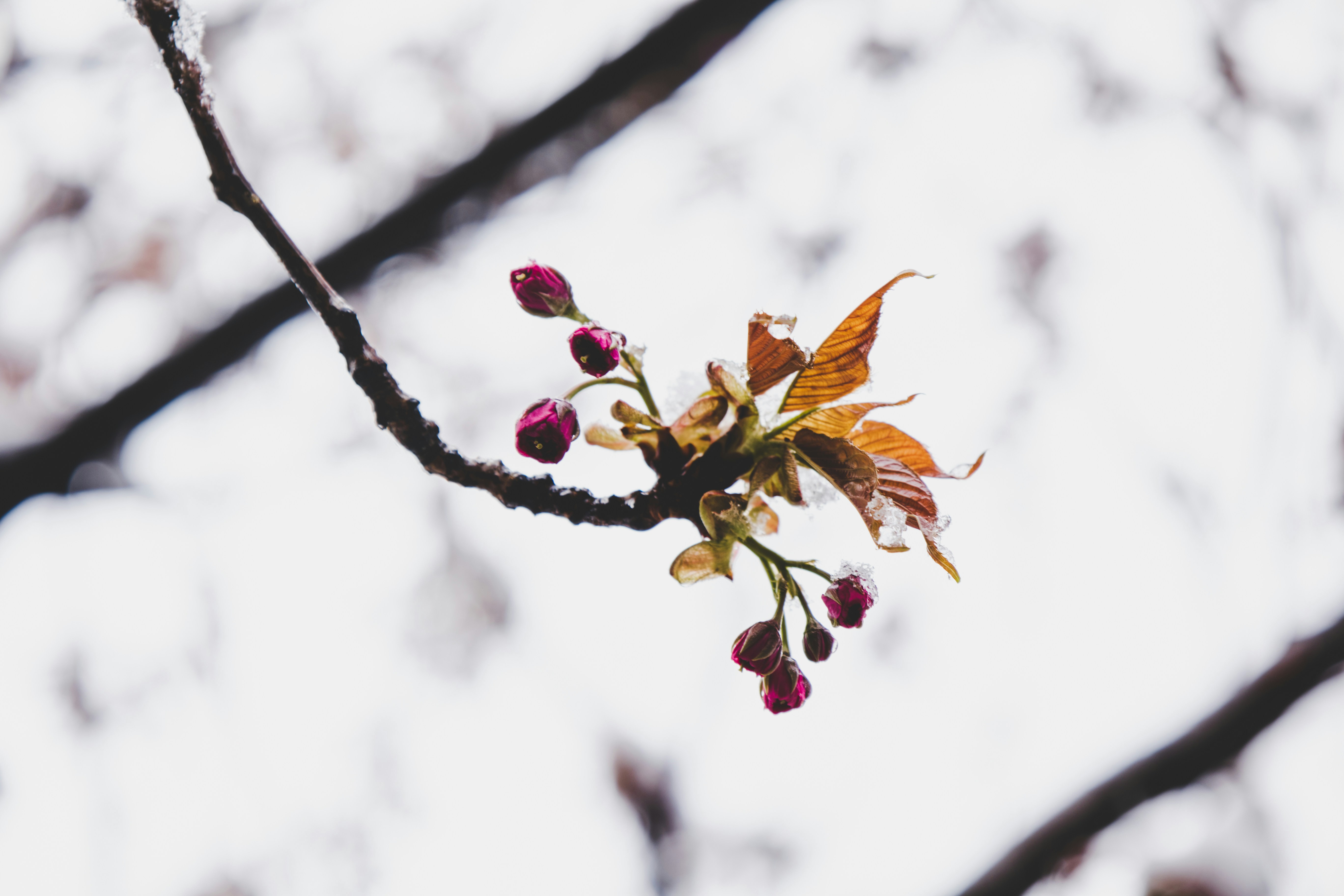 Photo by yassine_khalfalli