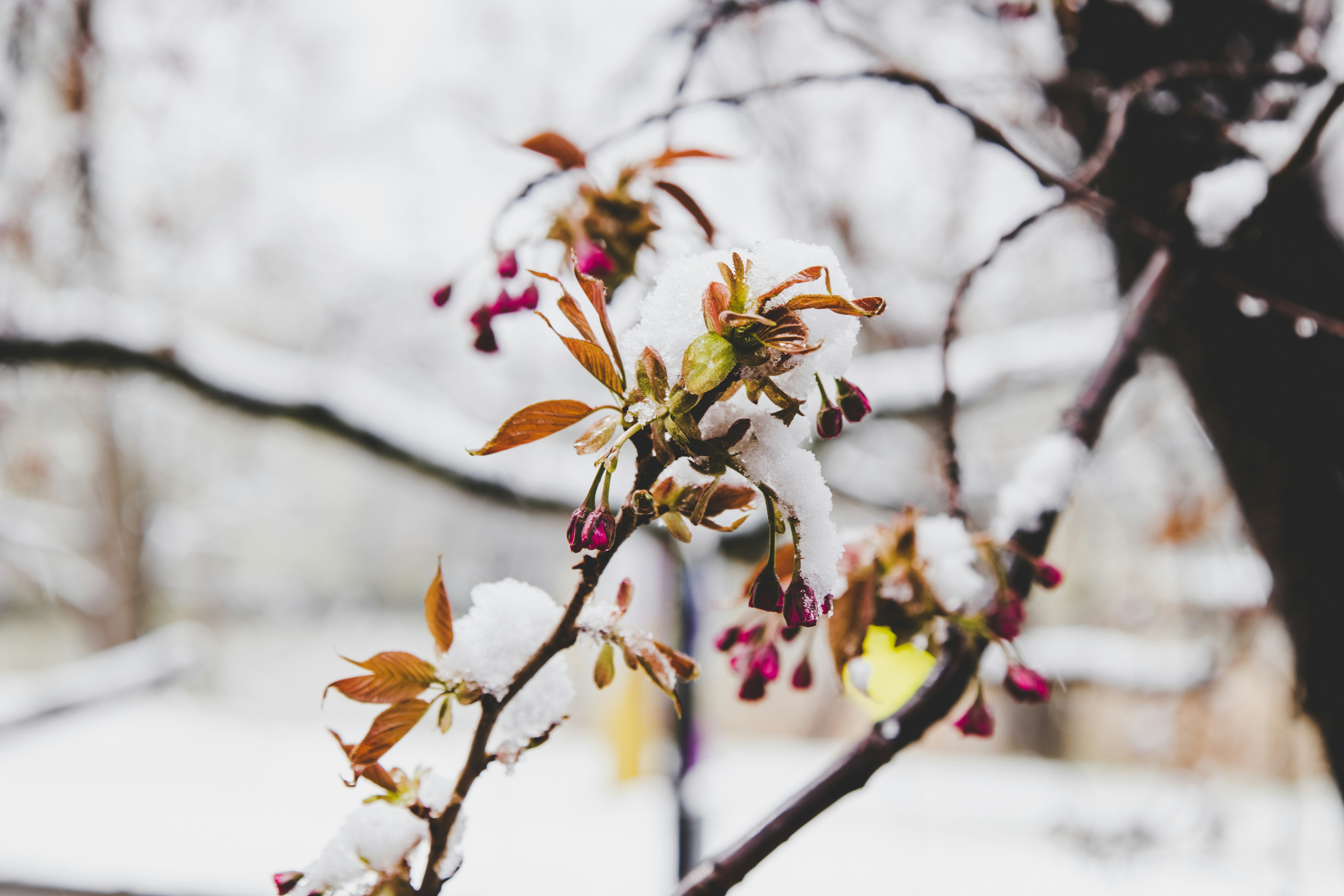 Photo by yassine_khalfalli