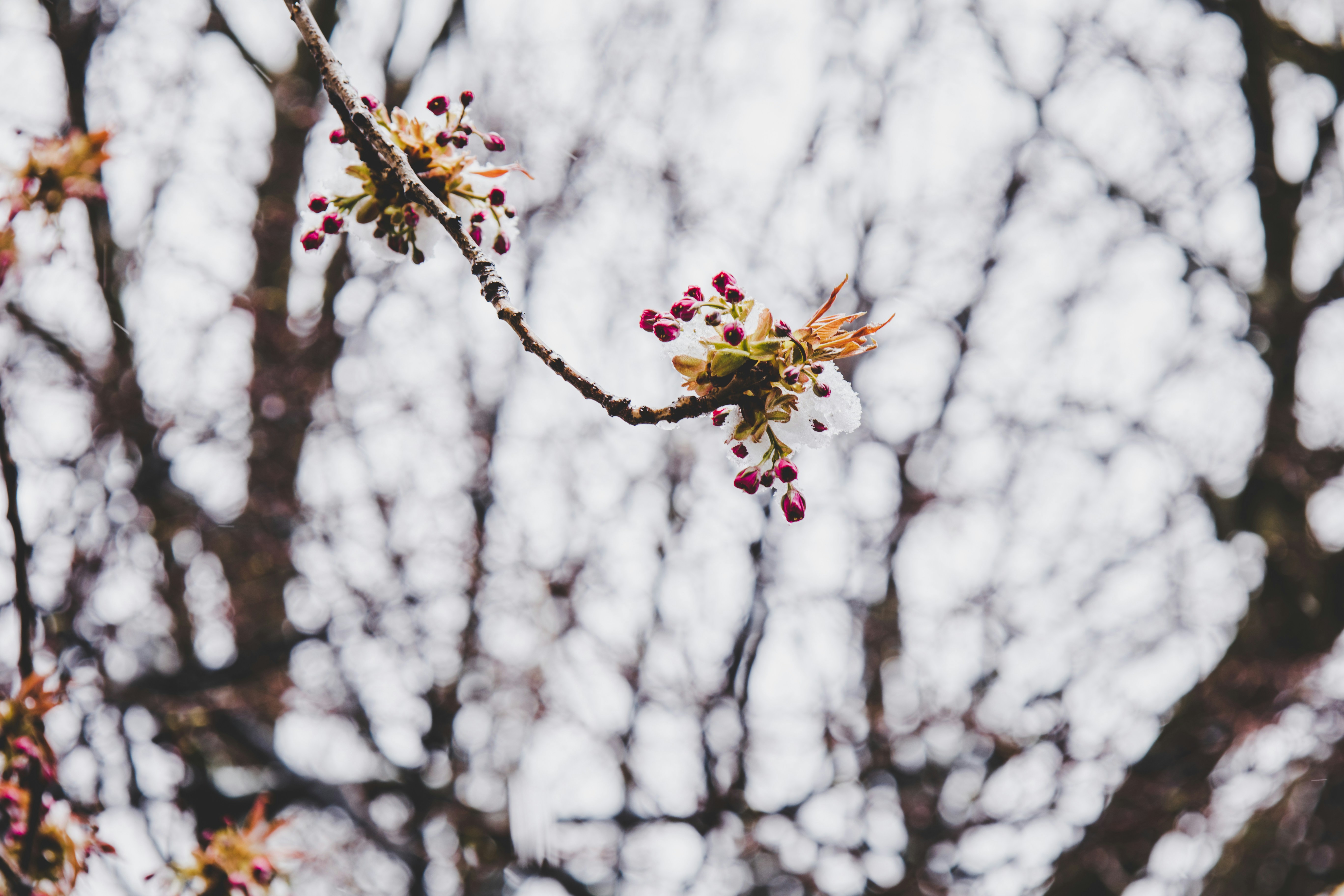 Photo by yassine_khalfalli