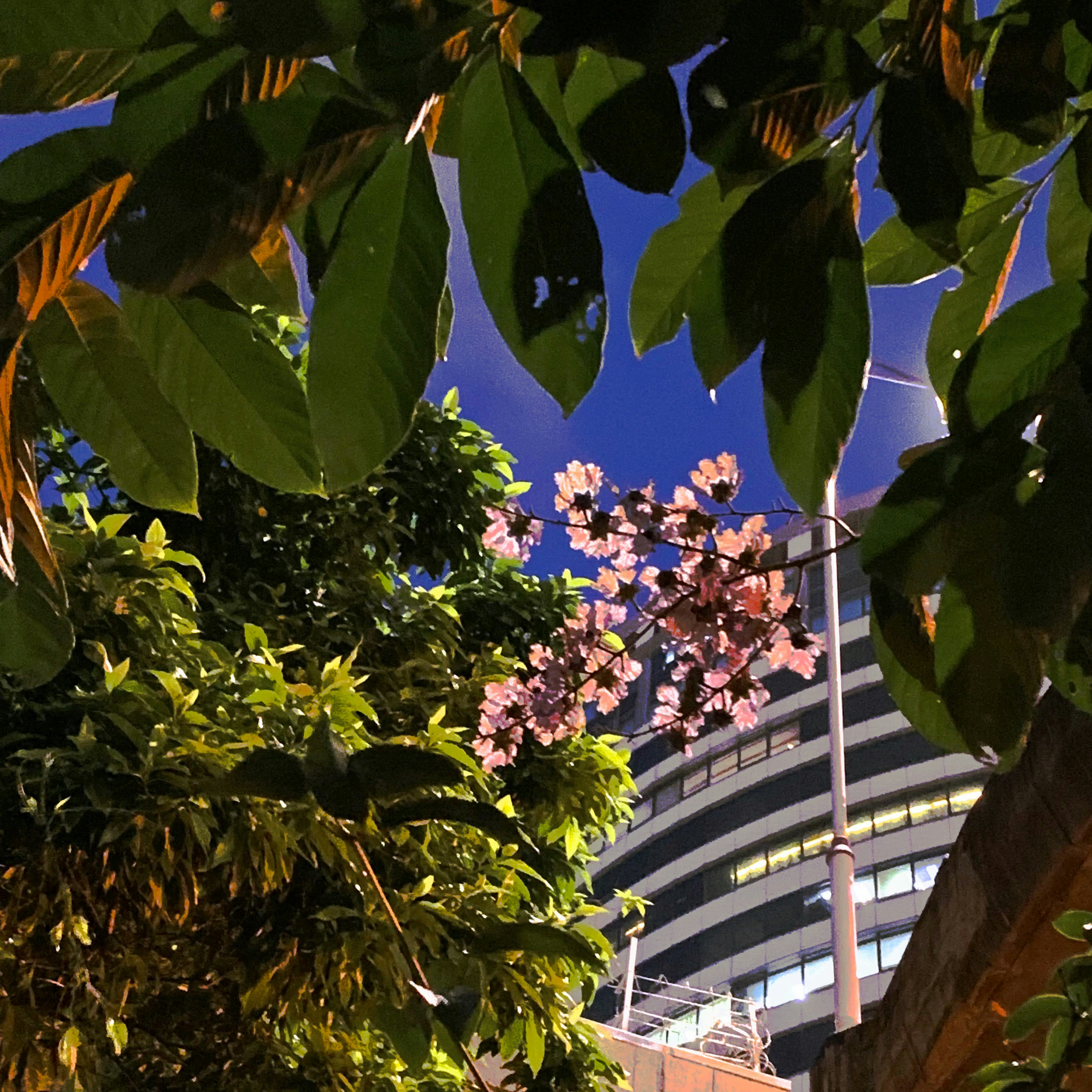 Photo by beautifulwoman