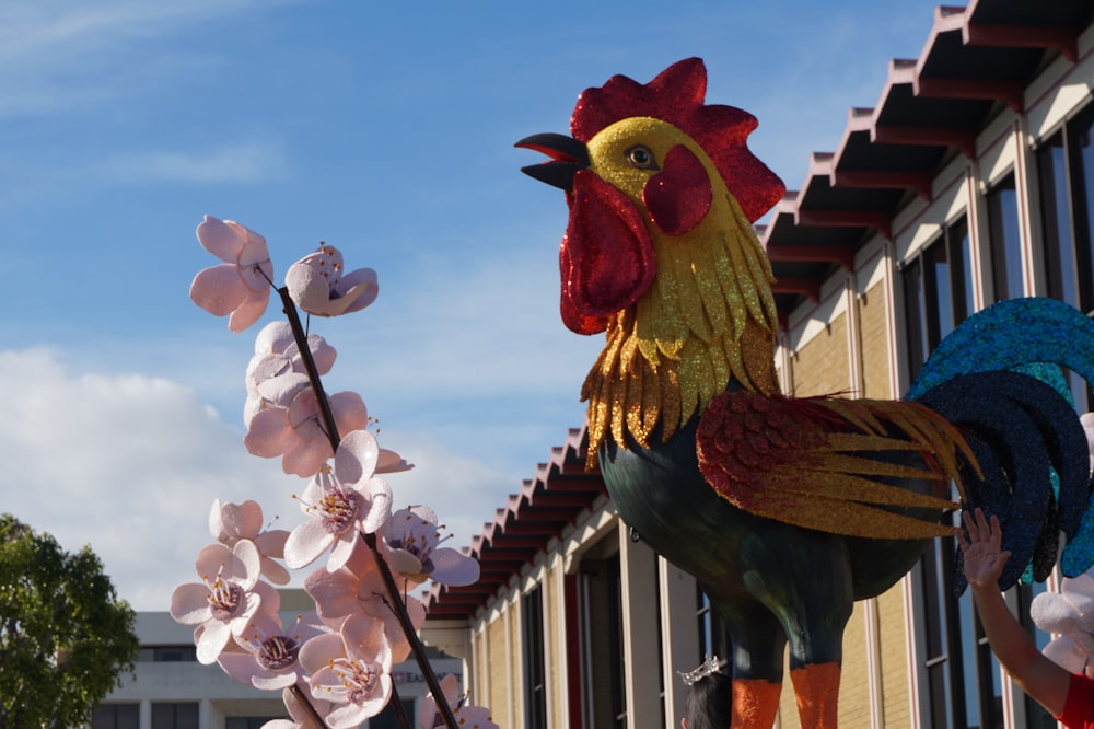 black yellow and red rooster on pink flower