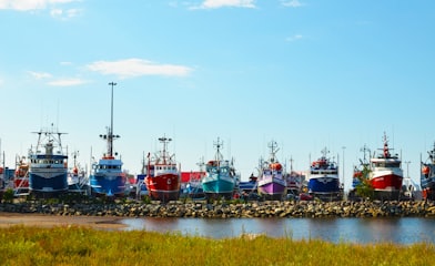 red and blue boat on water during daytime