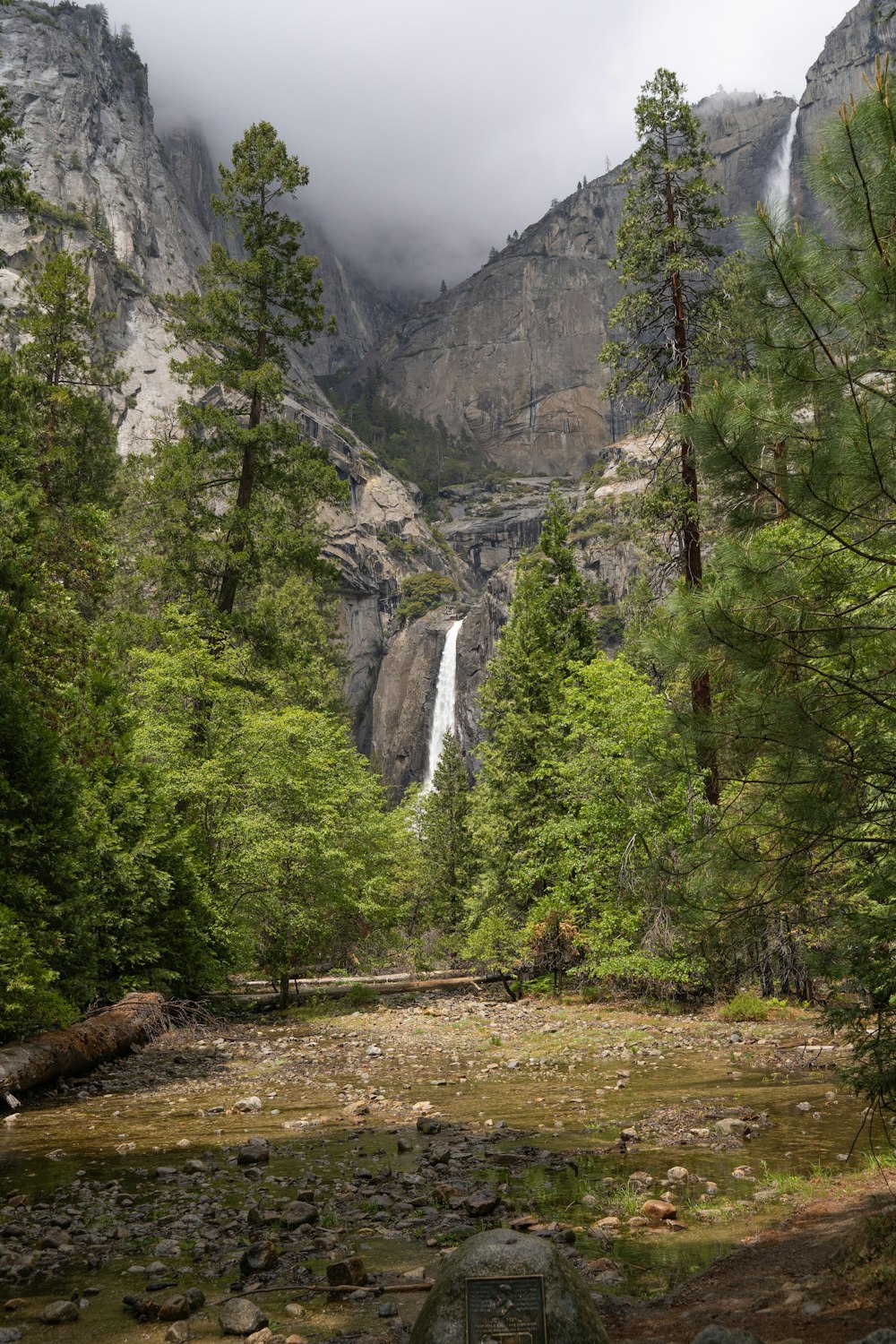 a large waterfall in the middle of a forest