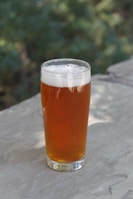 A pint glass filled with amber-colored beer placed on a stone or concrete surface with a blurred forest background.
