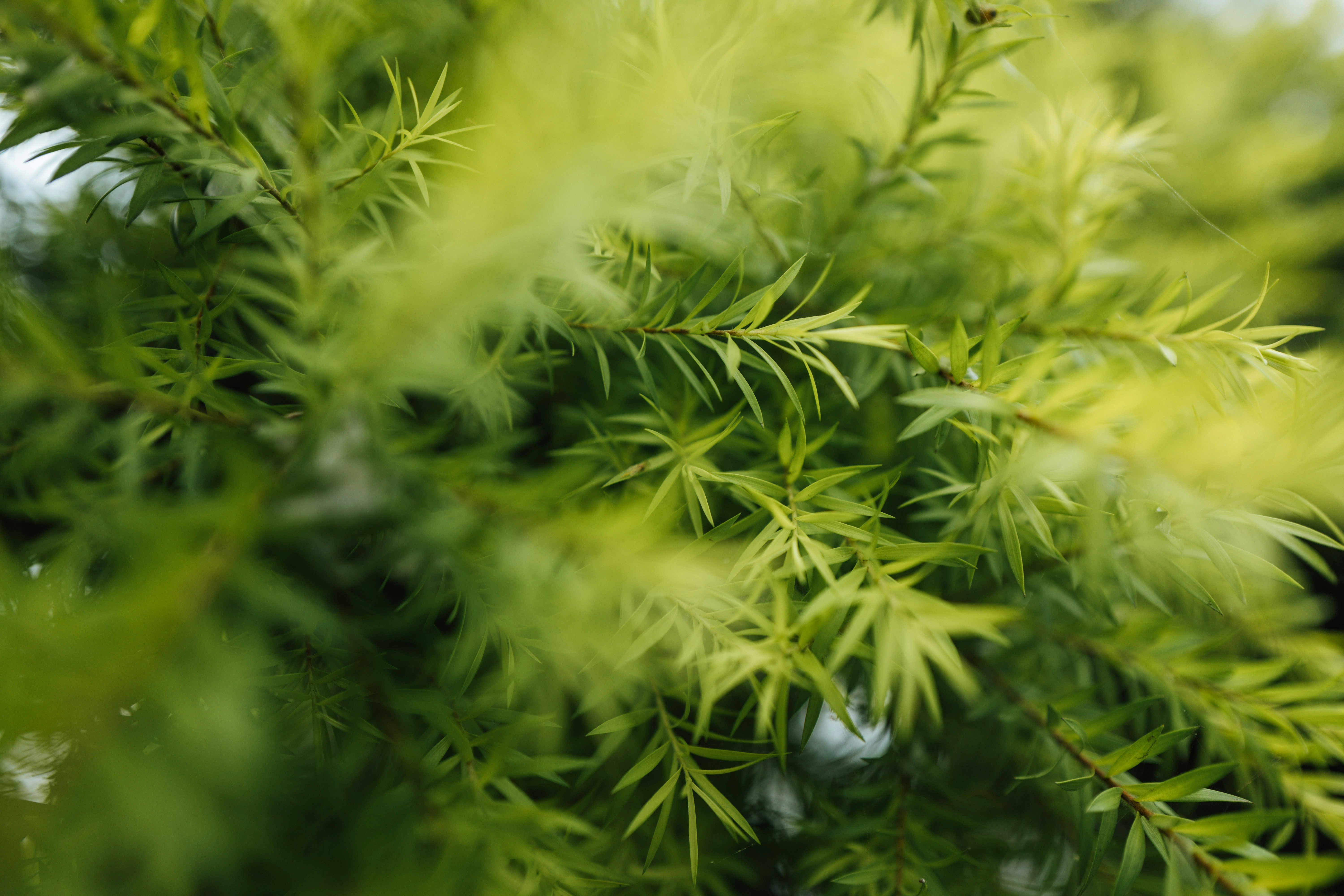 Photo by chuttersnap